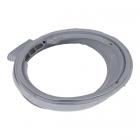 в|з 43019248 Door gasket