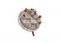 Pressure Switch